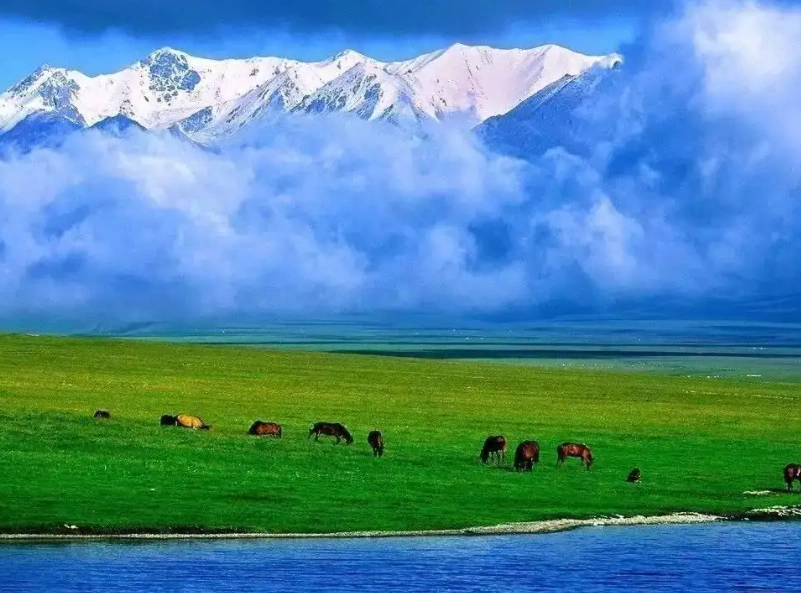 最美无人区草原那曲高寒草原,彰显自然地壮丽之美,一定要去看看