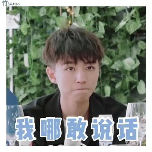 王俊凯中餐厅表情包(王俊凯中餐厅表情包高清)-天晟网