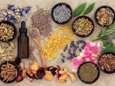 妇科专家廉河清:人流两次得了子宫肌瘤对怀孕有影响吗,吃什么中药效果