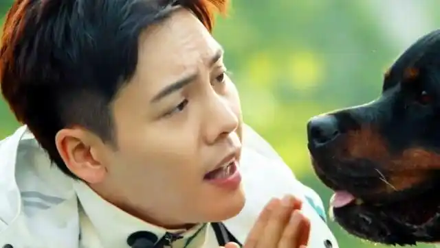 宠爱:陈伟霆脱口而出的一句脏话,导演没舍得剪,竟成了全片经典