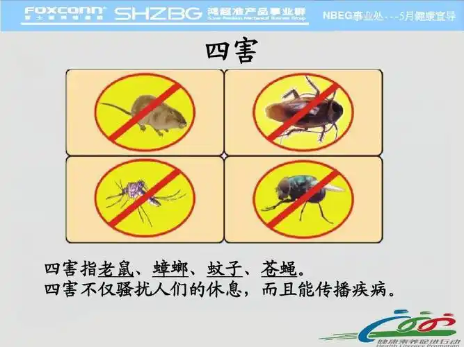 四害的危害ppt