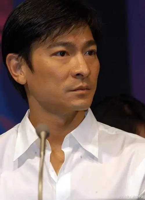 刘德华真粉才看得懂.你能数出有多少刘德华的歌名?