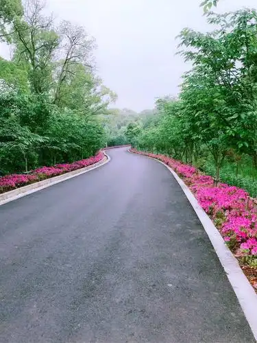 身边自然随手拍