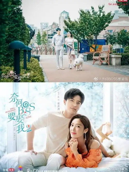 霸总甜宠剧  《南风知我意》张予曦成毅  《我要逆风去》龚俊 钟楚曦