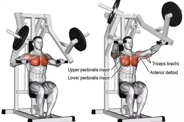 muscletech纯粹运动健身房器械使用指南之胸肌训练
