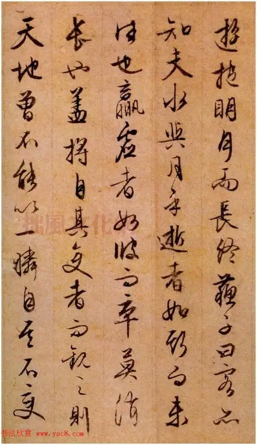 文徵明87岁行草书法赤壁赋两种