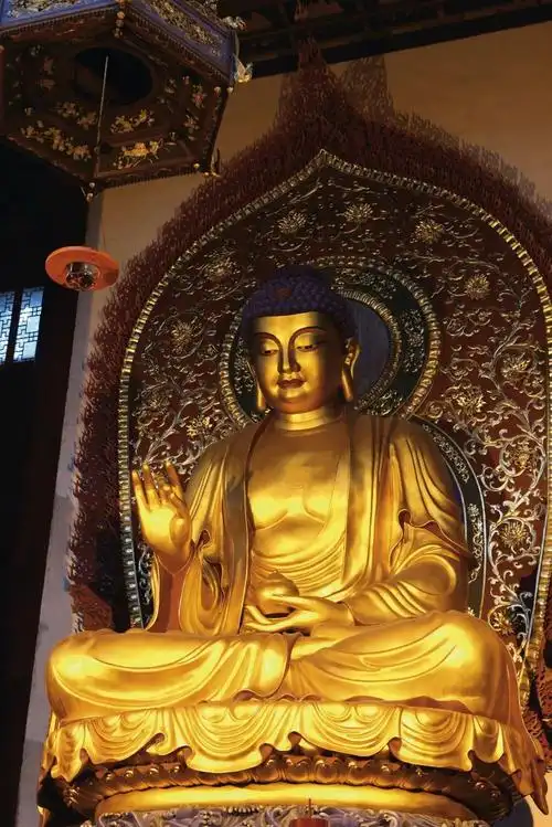 学处|佛法中的"药" - 灵隐寺 - 云佛论坛