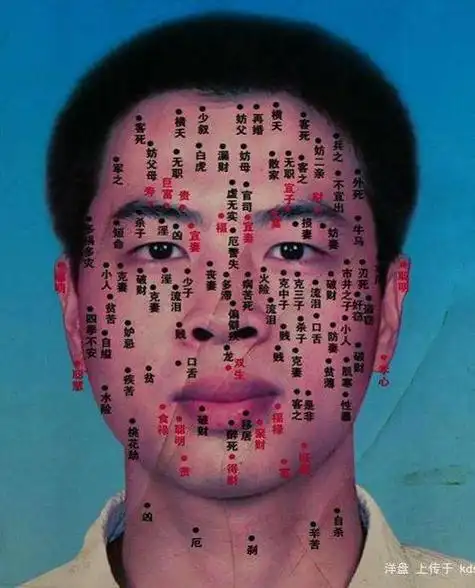 女人脸长痣的位置图解第1页