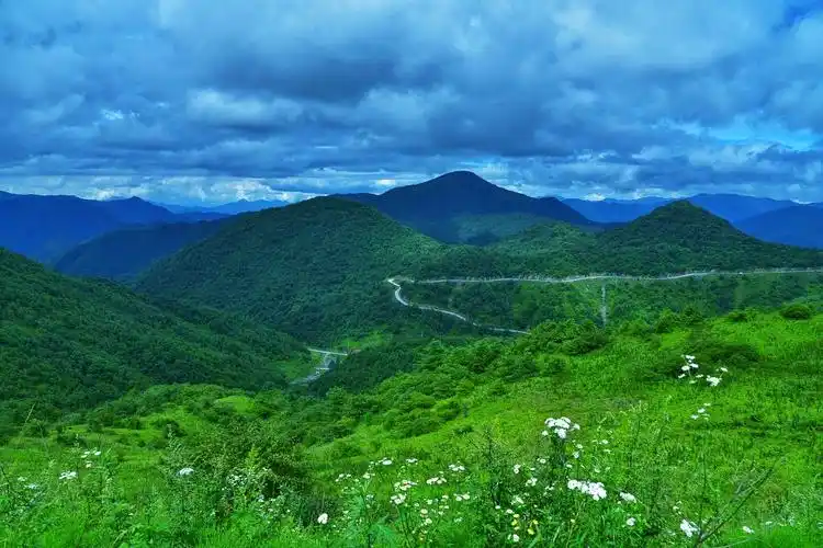 陕西平利:人间不知草甸美,只因未曾到正阳