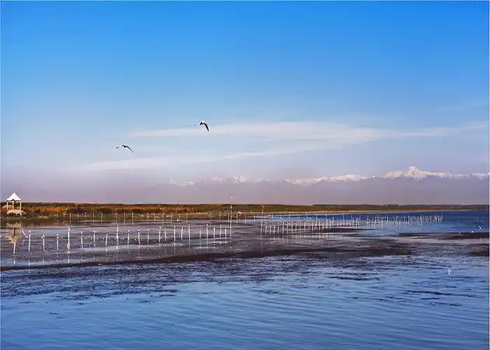 盘点新疆的那些中国之最中国最大的内陆淡水湖博斯腾湖