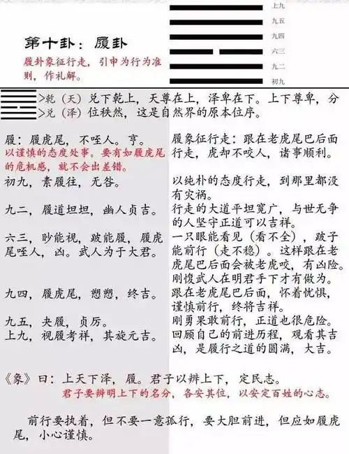 《易经》履卦(10)