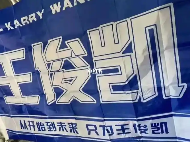 06王俊凯应援旗来了