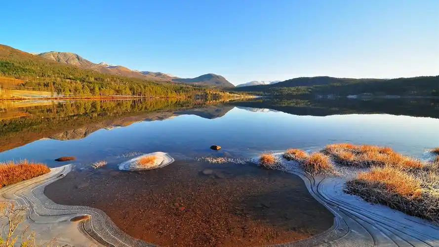 湖,冰,清水,霜,草 壁纸 | 1920x1080 全高清 壁纸下载 | cn.best-wall