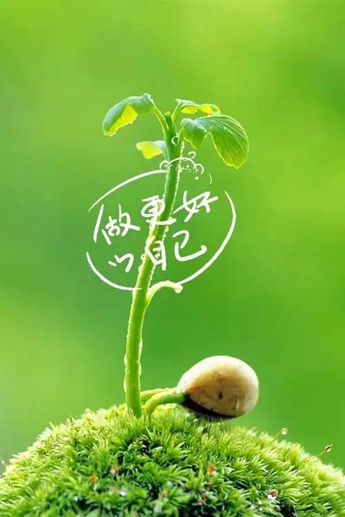 小清新绿色护眼植物手机锁屏壁纸绿色植物文字带字护眼植物自然植物