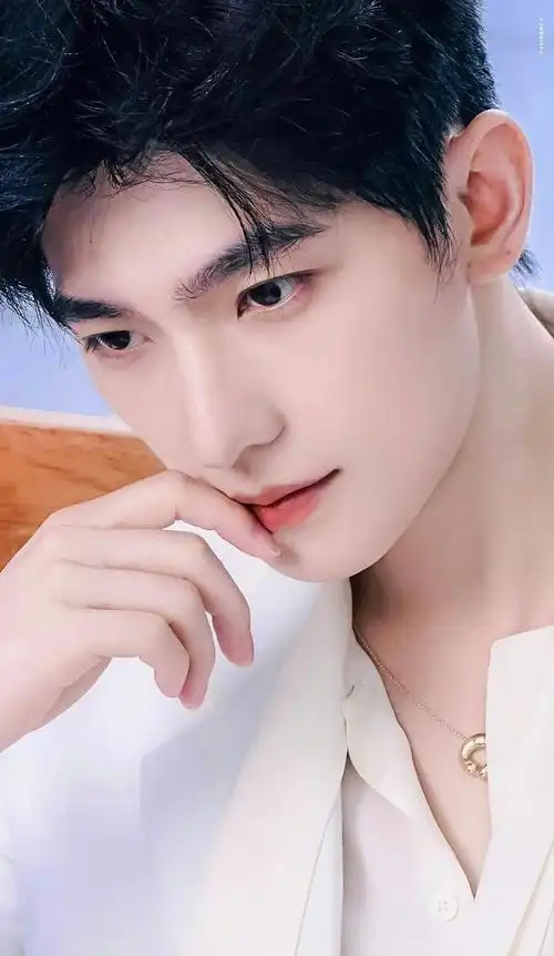 国内最帅的10位男明星