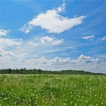 适合春天的头像图片高清适合春天微信头像合集