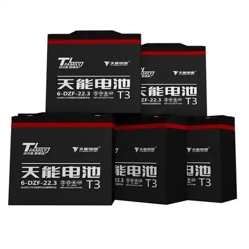 天能超能量真黑金电池60v20ah适用电动车铅酸电瓶