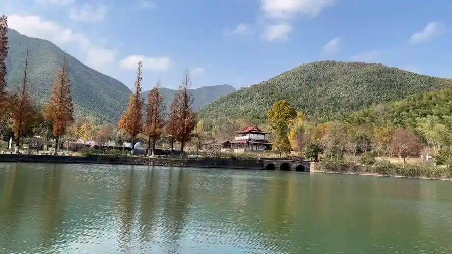 秋日出游—宜兴竹海