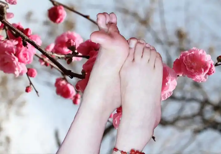 lofter for ipad —— 让兴趣,更有趣