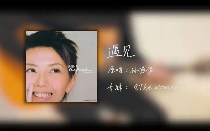 遇见-孙燕姿(指弹)