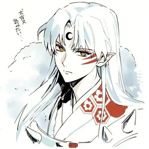 犬夜叉杀生丸第二弹