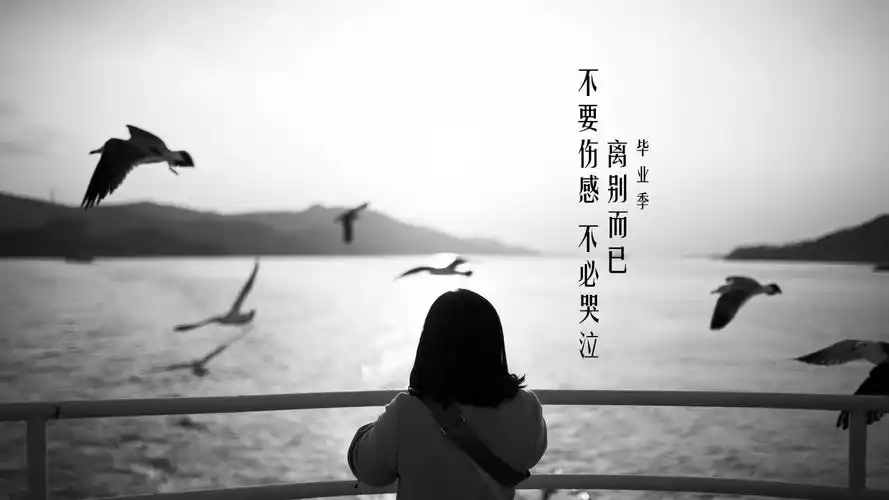 离别相遇致所有大学毕业的毕业狗