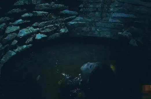 珍妃井恐怖事件,井底冤魂不散吓死老太监(图片视频)