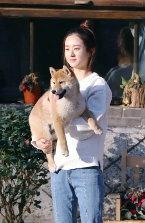 赵丽颖回农村老家像个童心未泯的孩子网友家才是心灵的港湾