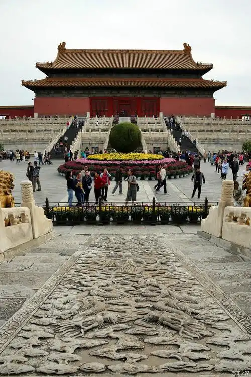 去故宫博物院乾清门广场拍摄开封菊花展