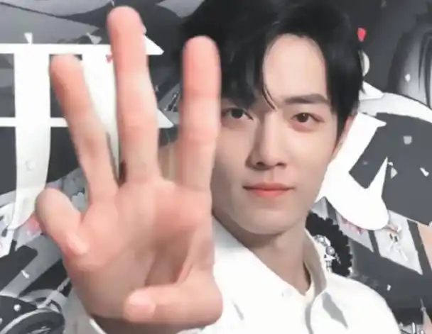 肖战黑粉又带节奏,实锤粉丝背锅侠,海贼王跟他有什么关系!