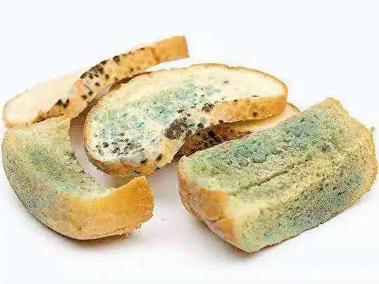 发现阴雨天让衣服不酸臭的方法,实测方便简单超好用