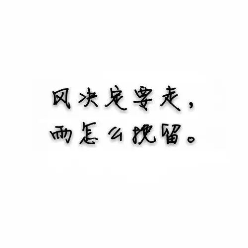 黑白 虐心文字 朴素 干净 背景图 沈佳潮品推荐