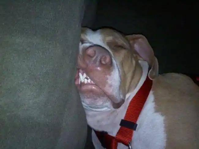 第一眼就让你笑喷的雷人图(组图)