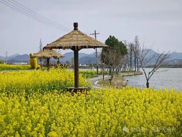 明天开始绍兴这网红景点又要人挤人网友这景色想不火都难你去过吗
