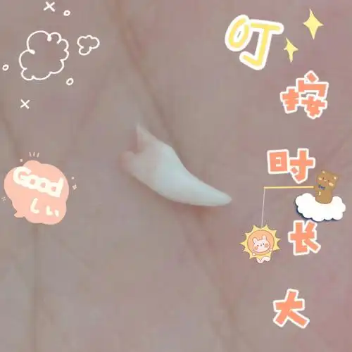 纪念泡芙掉的第一颗小虎牙