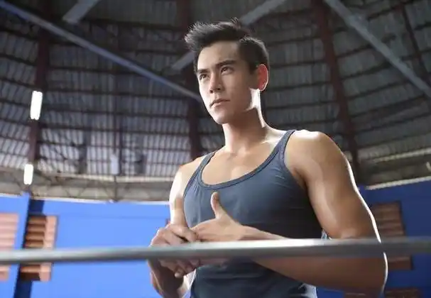 当涂脂抹粉的年轻演员们在各处活跃时,彭于晏已成为了型男的典范.