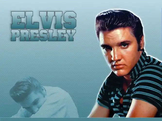 猫王壁纸下载猫王的经典发型