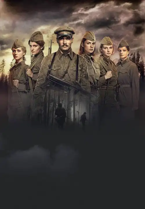 这里的黎明静悄悄