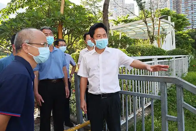 盐田区委副书记区长邓飞波带队调研中央生态环境保护督察整改项目