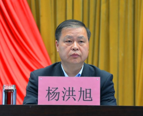 市委常委,政法委书记,市委全面依法治市委员会办公室主任杨洪旭出席