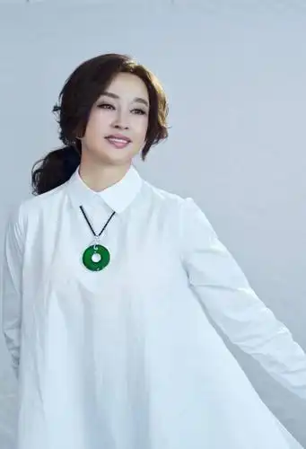 要知道,刘晓庆收藏的可都是a货翡翠,比得上一些翡翠