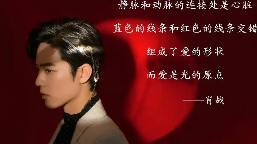 x玖少年团肖战时尚魅力帅气写真,高清壁纸图片,大陆明星-回车桌面