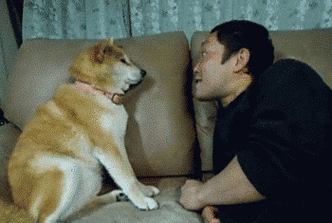 350_235gif 动态图 动图