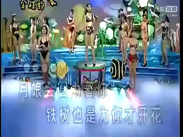 十二大美女-真情放水流-音乐视频-搜狐视频