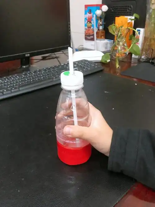 自制乐器(空气号角)