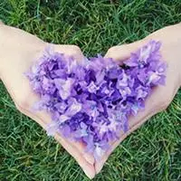 微信头像图片大全薰衣草庄园【点击鼠标右键下载】