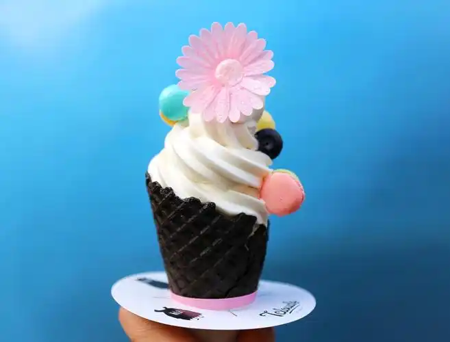颜值超高的网红酸奶冰淇淋又出新品啦