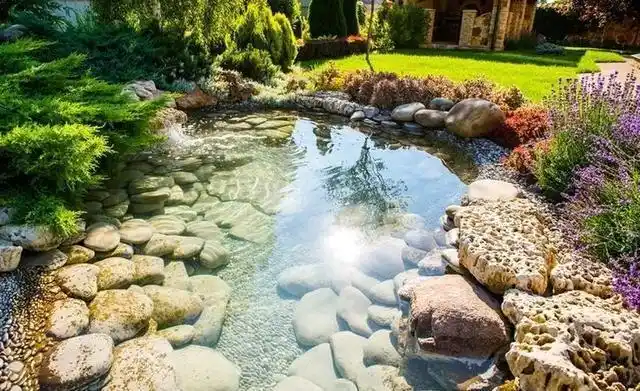 院子,一定要有个池塘,你想要的都在这里!