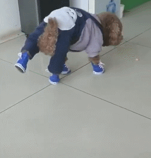 298_312gif 动态图 动图