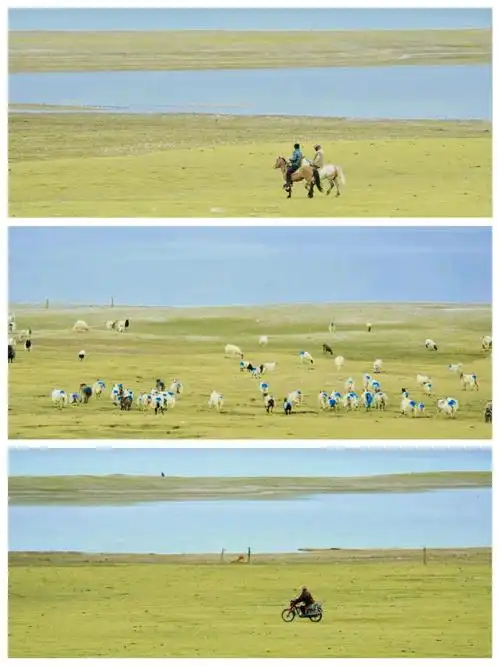 治愈系风景接下来一个月的青海是这样子的